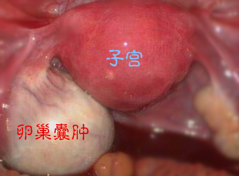 1515203864955176.png 微信图片_20171223094738.png