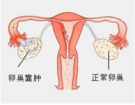 1535532730424809.jpg timg (3).jpg